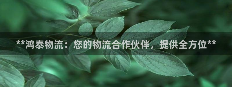 28圈ccm官网版