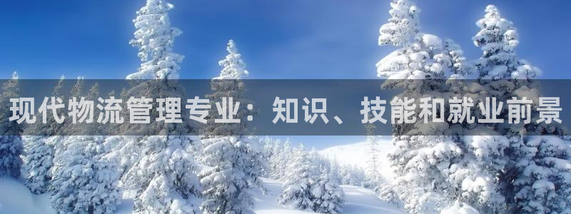 28圈圈助手