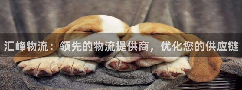 28圈新用户怎么注册：汇峰物流：领先