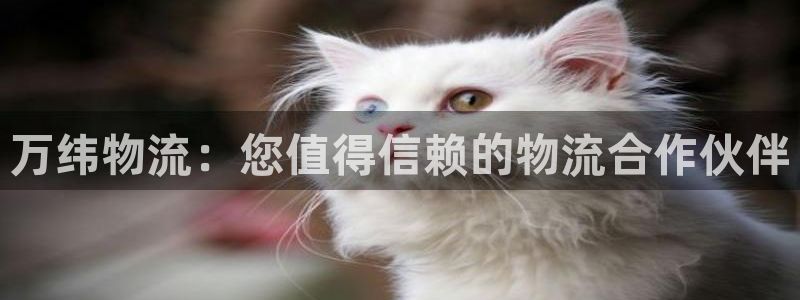 28圈网赌有什么风险：万纬物流：您值