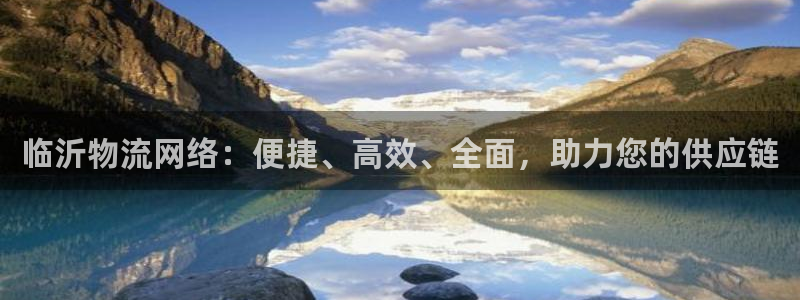 28圈怎么注册下载：临沂物流网络：便