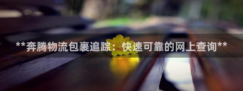 28圈充值不处理