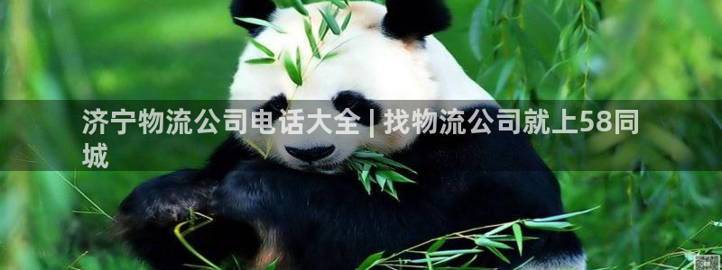 28圈注册教程：济宁物流公司电话大全