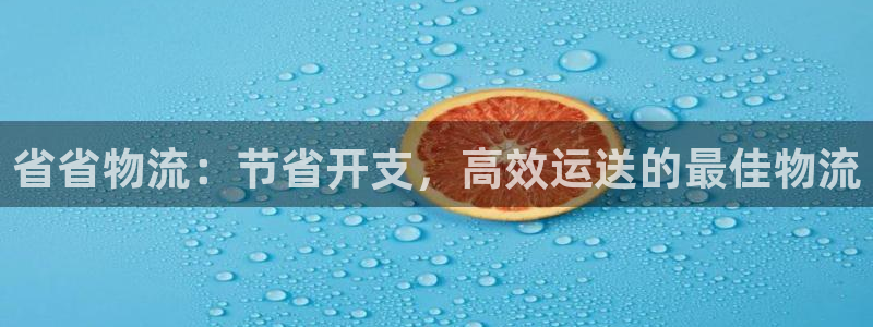 28圈注册网站链接：省省物流：节省开