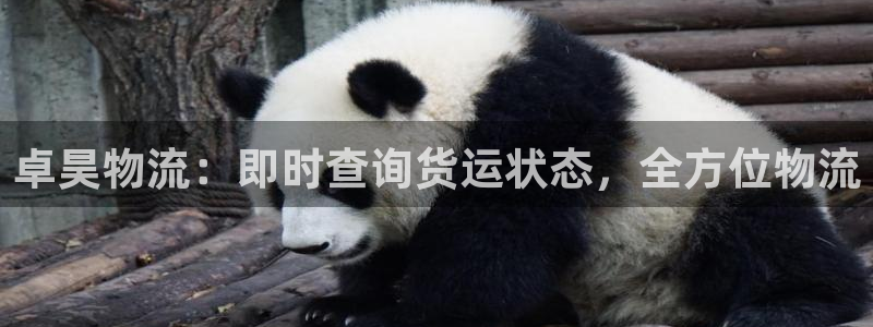 28圈怎么申请代理