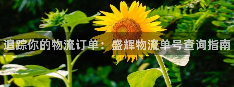 28圈登录：追踪你的物流订单：盛辉物