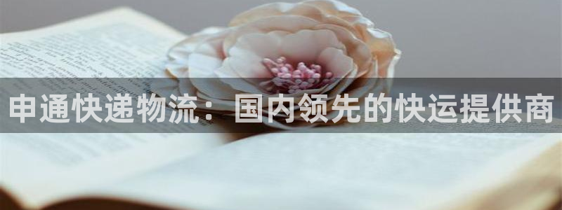28圈充值不处理会怎么样