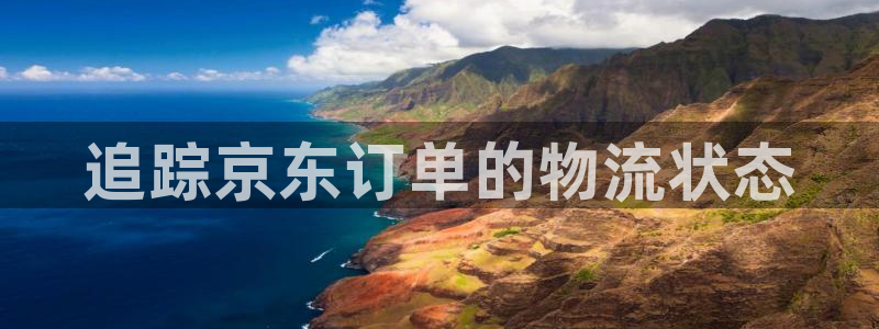28圈：追踪京东订单的物流状态