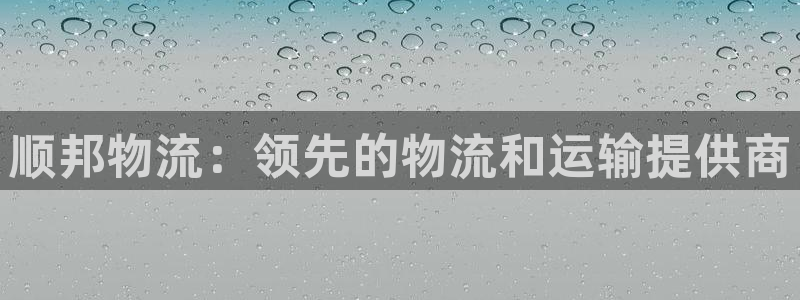 28圈合法吗：顺邦物流：领先的物流和