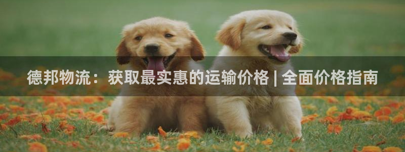 28圈.ccm官网：德邦物流：获取最