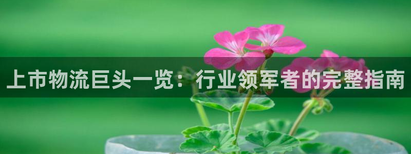 28圈黑吗：上市物流巨头一览：行业领军者的完整指南