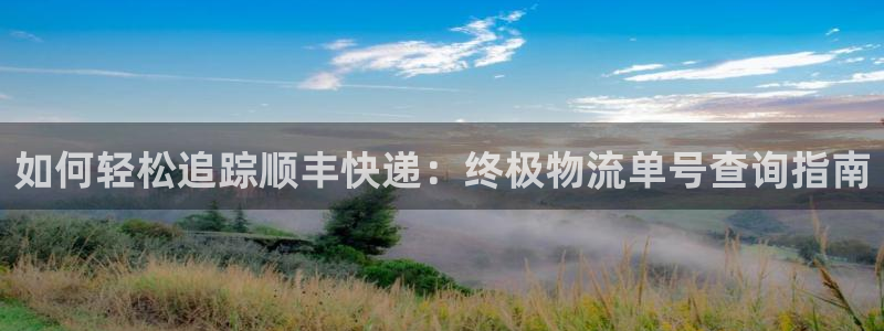 28圈注册网站链接是什么：如何轻松追
