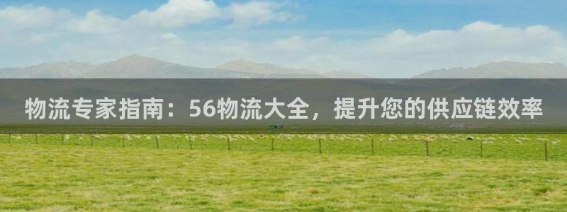 28圈正规吗