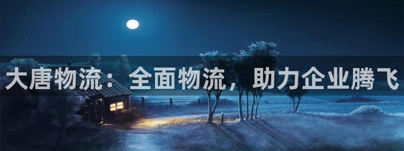 28圈app注册地址：大唐物流：全面