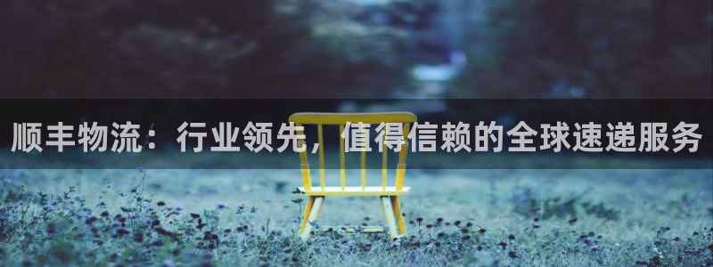 28圈模拟：顺丰物流：行业领先，值得