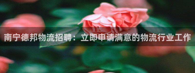28圈官网多少