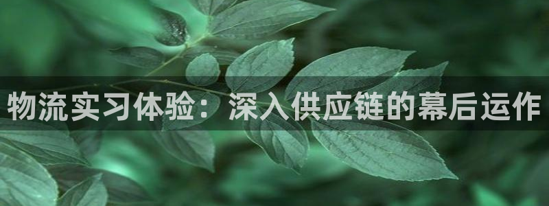 28圈正规吗?