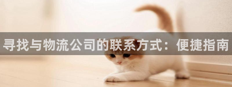 28圈注册网站：寻找与物流公司的联系