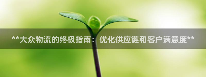 28圈新用户怎么注册：**大众物流的