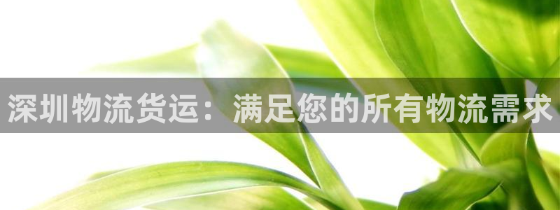28圈模拟：深圳物流货运：满足您的所