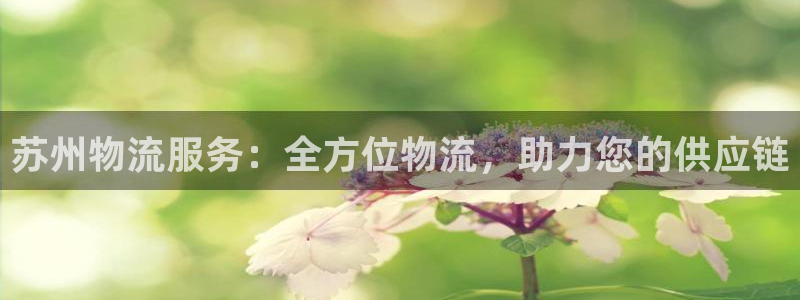 28圈注册网站谁有：苏州物流服务：全