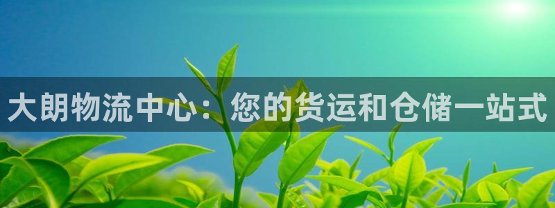 28圈正规吗：大朗物流中心：您的货运