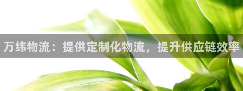 28圈娱乐官网网页：万纬物流：提供定