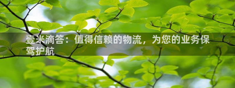 28圈链接