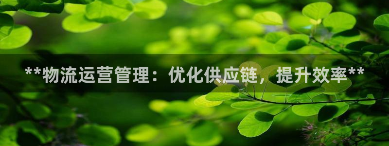 28圈哪个最赚钱：**物流运营管理：优化供应链，提升效率**