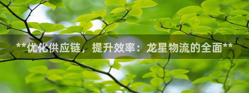 28圈返水怎么算的：**优化供应链，