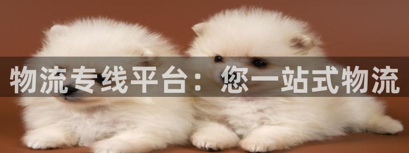 28圈网站平台：物流专线平台：您一站