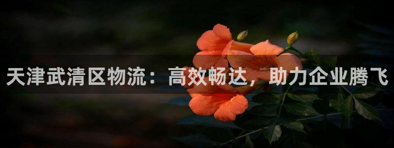 28圈推广链接是多少钱一个：天津武清