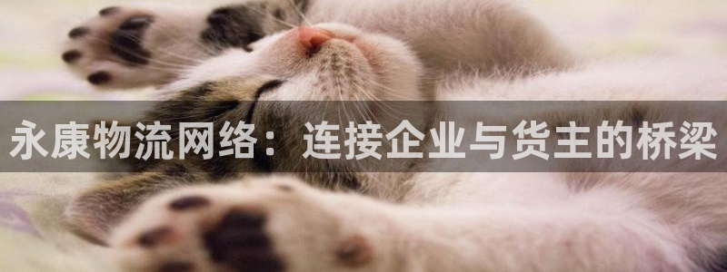 28圈模拟器在线使用：永康物流网络：