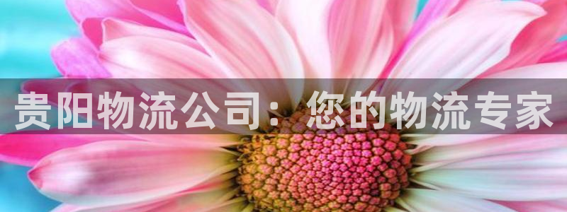28圈注册号：贵阳物流公司：您的物流