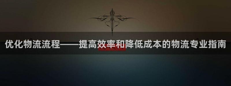 28圈推广链接是多少：优化物流流程—