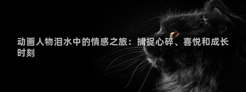 28圈网站怎么注册：动画人物泪水中的情感之旅：捕捉心碎、喜悦