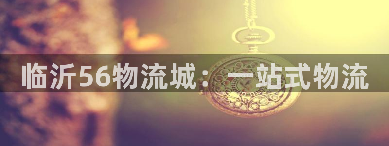 28圈.ccm：临沂56物流城：一站