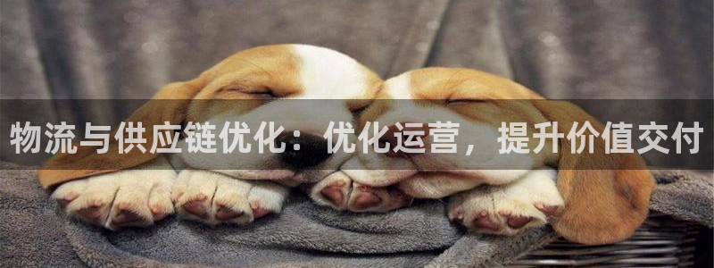 加拿大28圈注册链接：物流与供应链优
