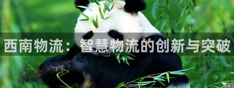 28圈注册入口与教程