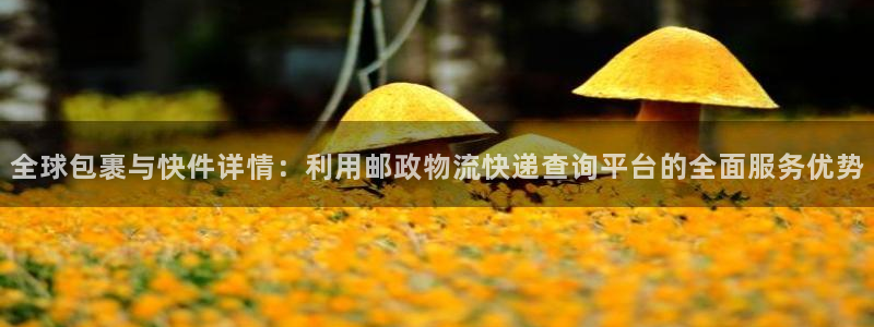 28圈官网平台