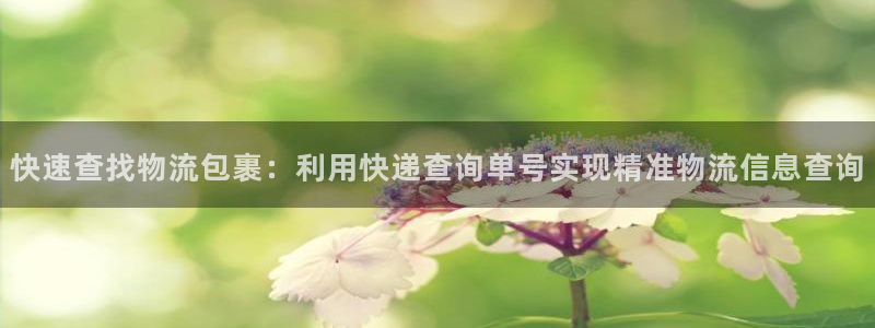 28圈怎么申请代理