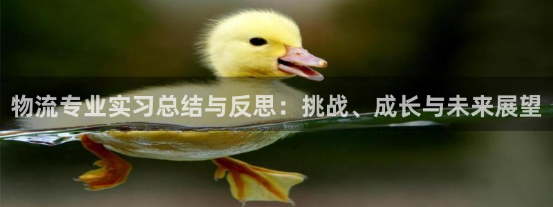 28圈免费