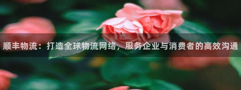 28圈游戏链接