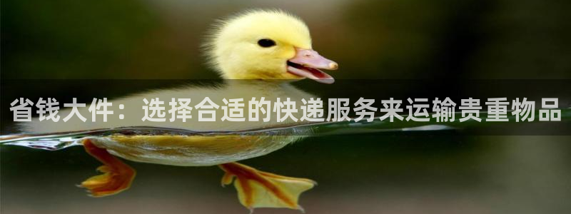 28圈充值不处理会怎么样