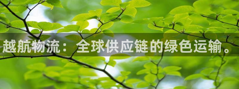 28圈登录用户名登录不上：越航物流：