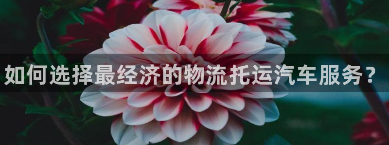 28圈怎么注册：如何选择最经济的物流托运汽车服务？