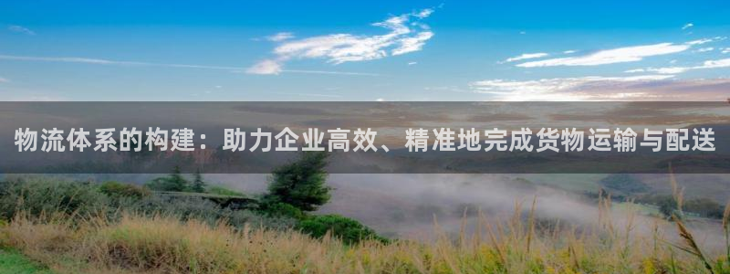 28圈官方官网：物流体系的构建：助力