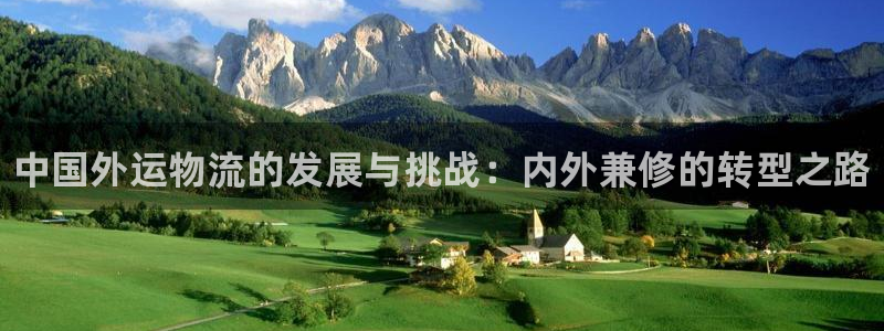 28圈cn：中国外运物流的发展与挑战