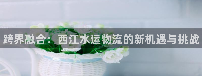 28圈加拿大:跨界融合:西江水运物流