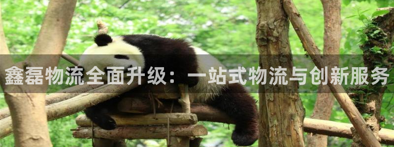 28圈.ccm南宫：鑫磊物流全面升级